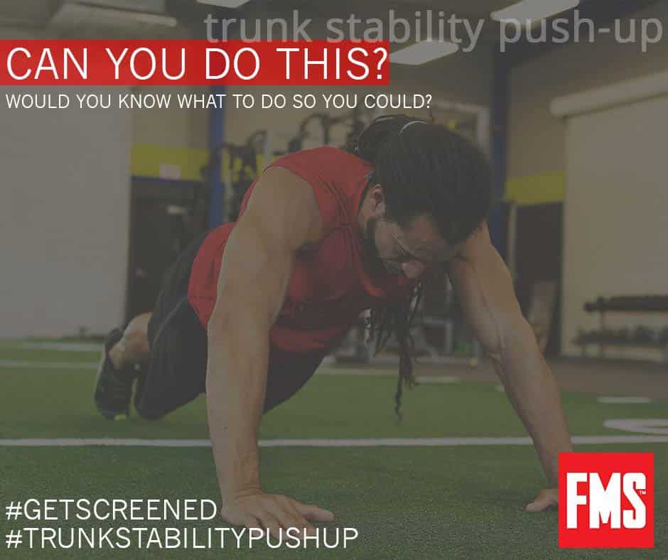trunkstabilitypushup